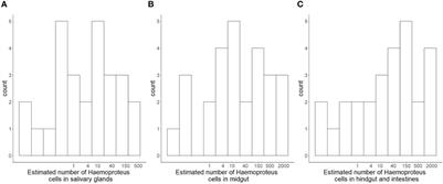 Genetic infrapopulation sizes in blood parasites: a pilot quantification of the bottleneck in louse fly vectors